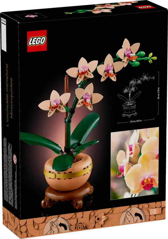 10343 Mini Orchid