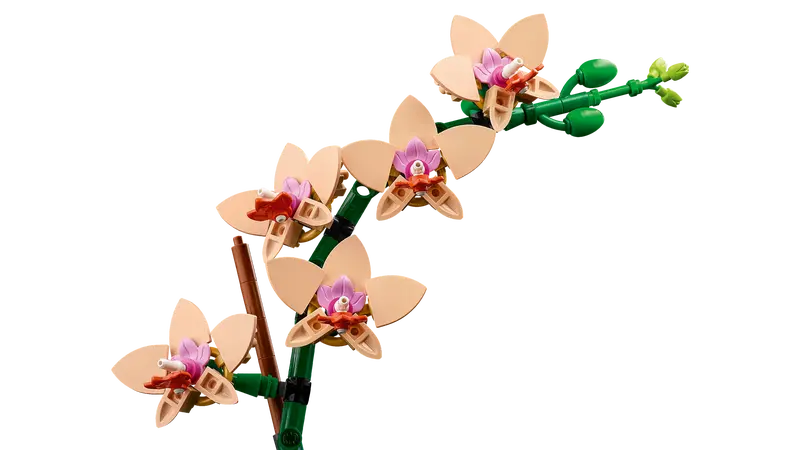 10343 Mini Orchid