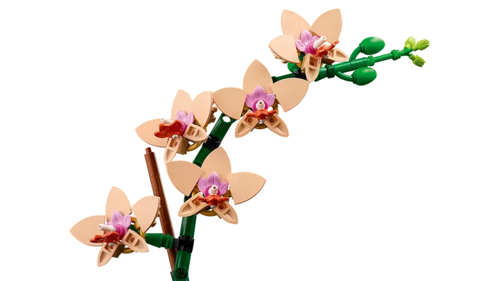 10343 Mini Orchid