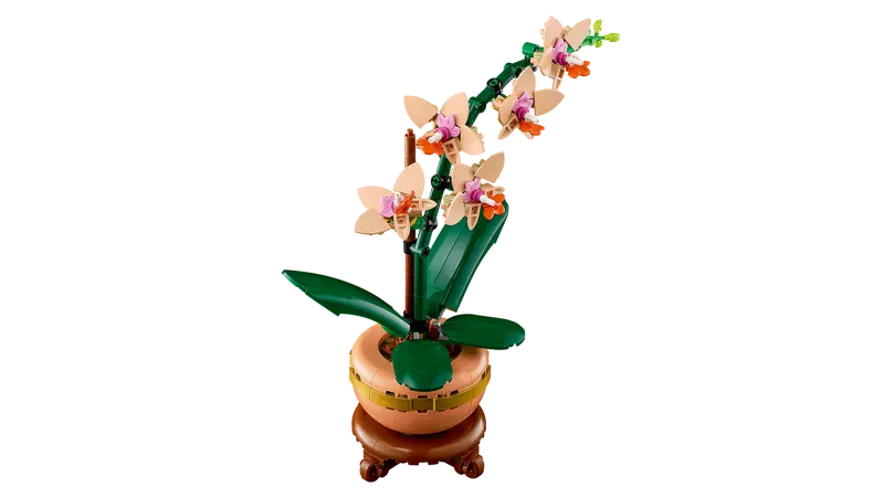 10343 Mini Orchid