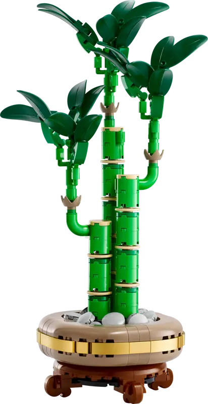 10344 Lucky Bamboo