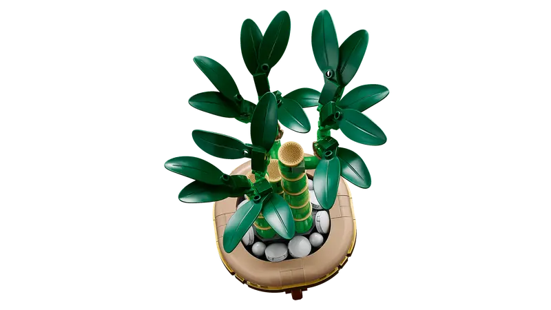 10344 Lucky Bamboo