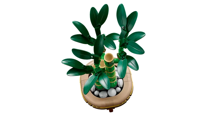 10344 Lucky Bamboo