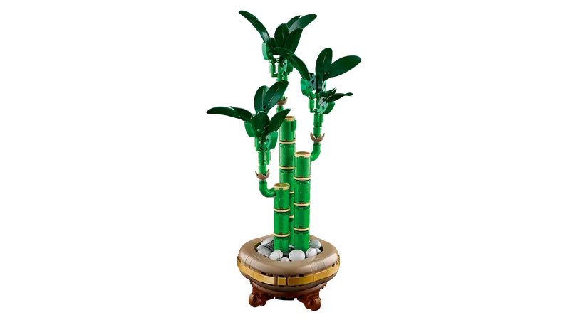 10344 Lucky Bamboo