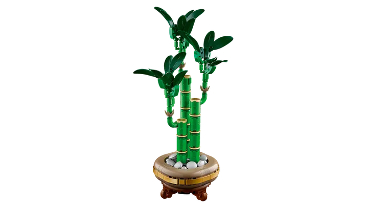 10344 Lucky Bamboo