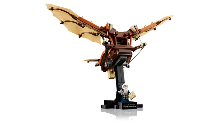 10363 Leonardo da Vinci's Flying Machine