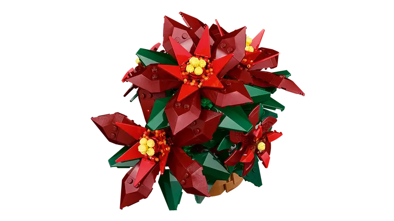 10370 Poinsettia