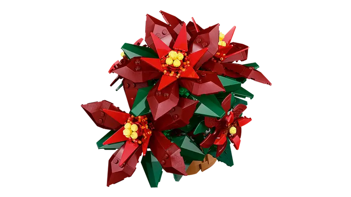 10370 Poinsettia