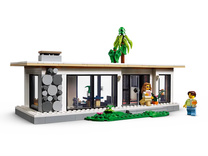 31153 Modern House