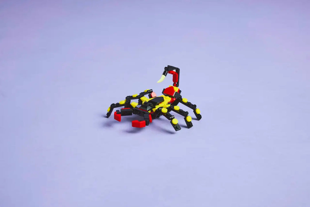 31159 Wild Animals: Surprising Spider