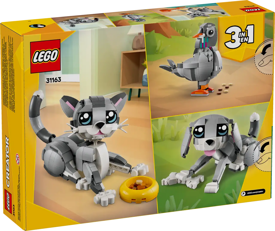 31163 Playful Cat