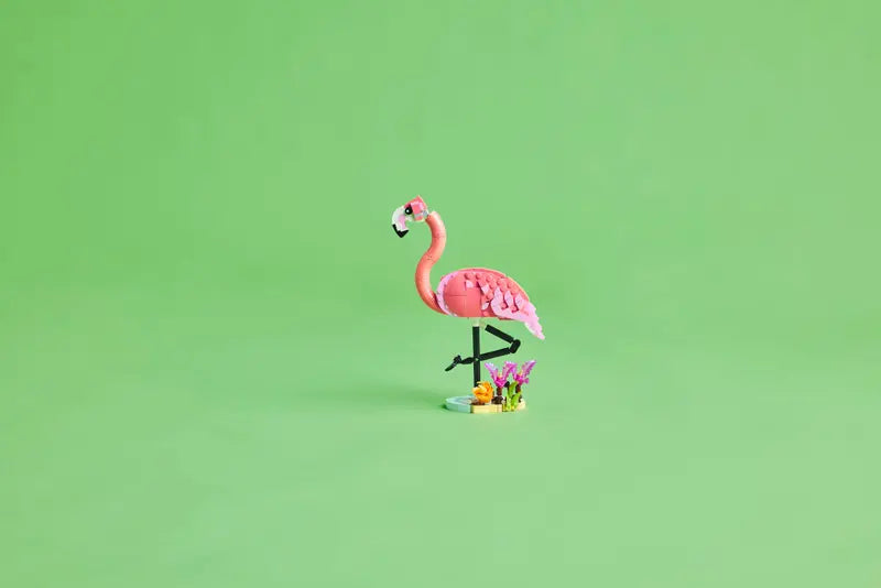 31170 Wild Animals: Pink Flamingo