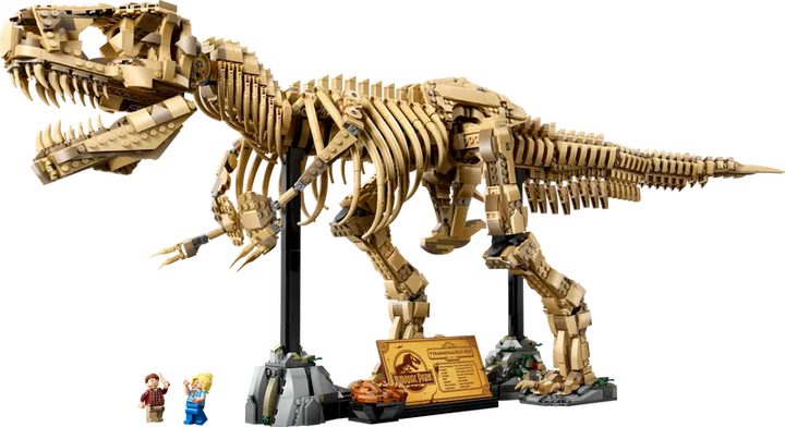 76968 Dinosaur Fossils: Tyrannosaurus rex