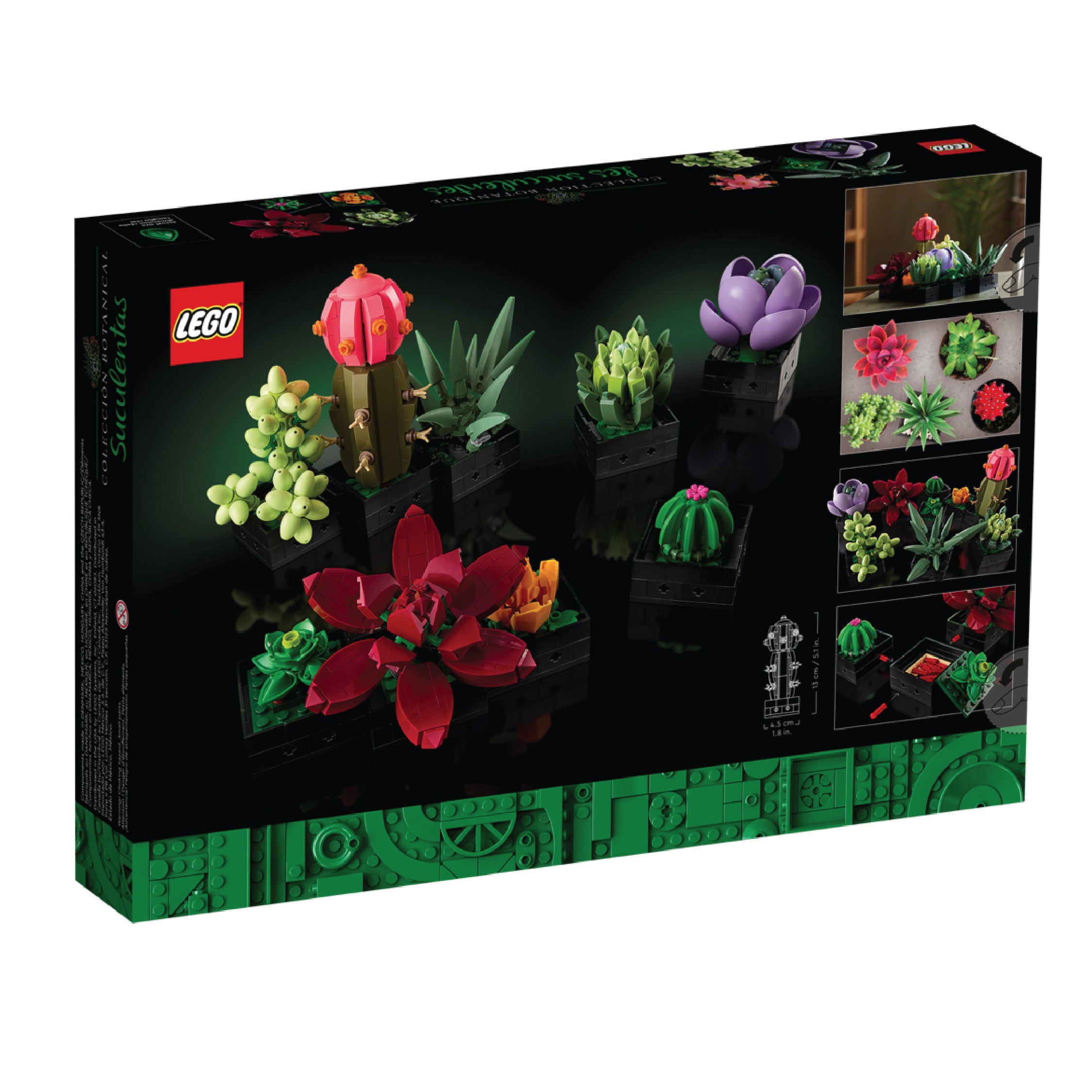 Succulents newest botanical collection 10309